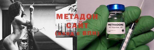 шишки Магас