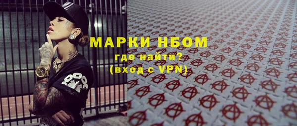 шишки Магас