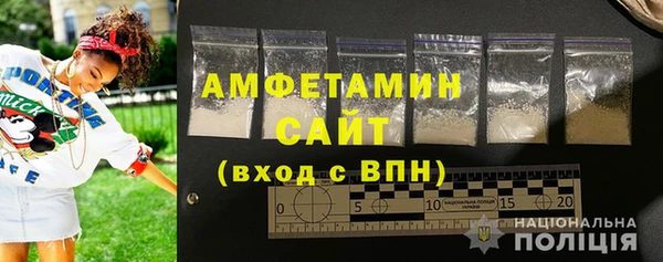 шишки Магас