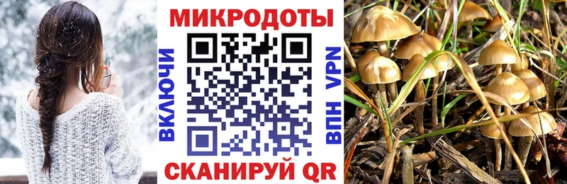купить наркотики сайты  Уяр  Псилоцибиновые грибы мухоморы 
